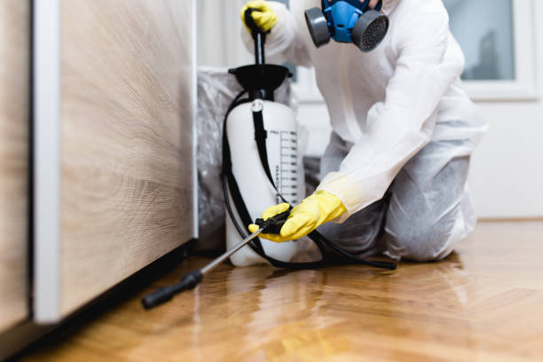 Best Flea Control Services  in Highgrove, CA