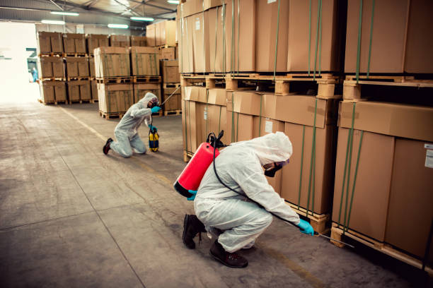 Best Ant Control Services  in Highgrove, CA