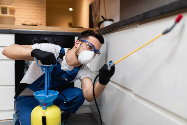 Best Termite Control Services  in Highgrove, CA