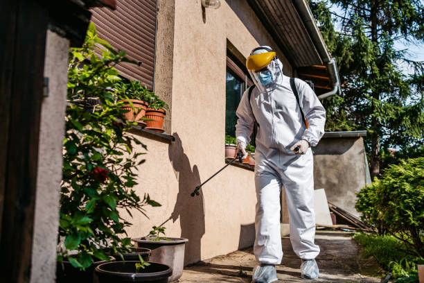 Best Insect Control  in Highgrove, CA