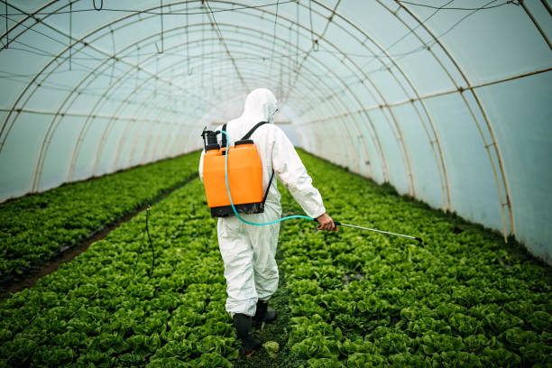 Professional Pest Control in Highgrove, CA