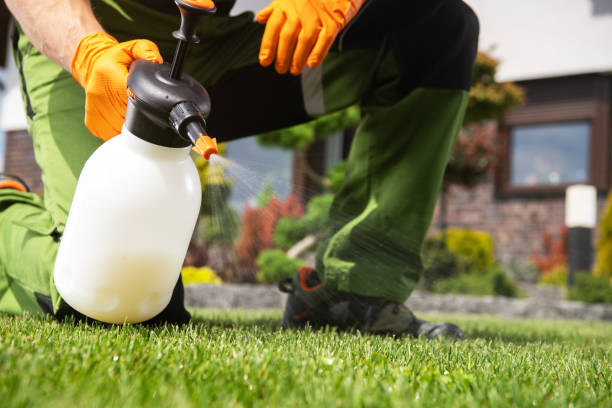 Best Pest Removal Services  in Highgrove, CA