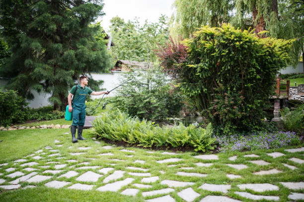 Best Termite Control Services  in Highgrove, CA
