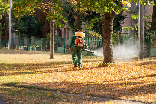 Best Pest Prevention Services  in Highgrove, CA