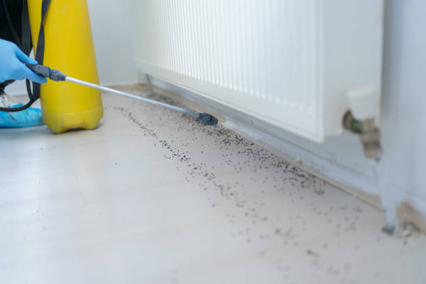 Best Best Pest Control Companies  in Highgrove, CA