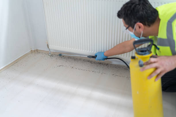 Best Affordable Pest Control Services  in Highgrove, CA