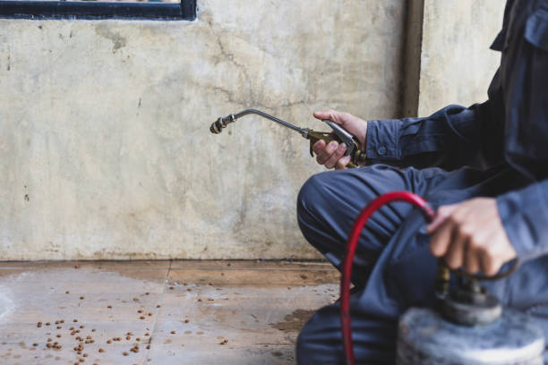 Best Affordable Pest Control Services  in Highgrove, CA